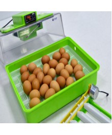 KULUÇKA MAKİNESİ PD30 SH