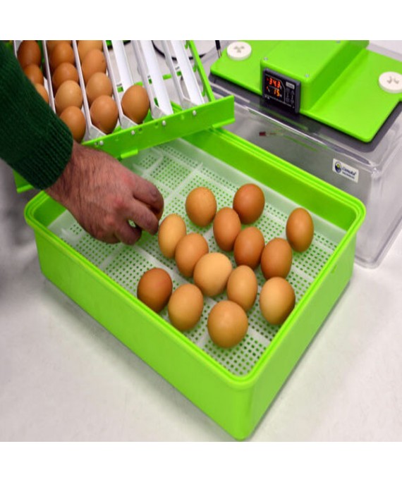 KULUÇKA MAKİNESİ PD30 SH